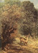 Deer Gustave Courbet